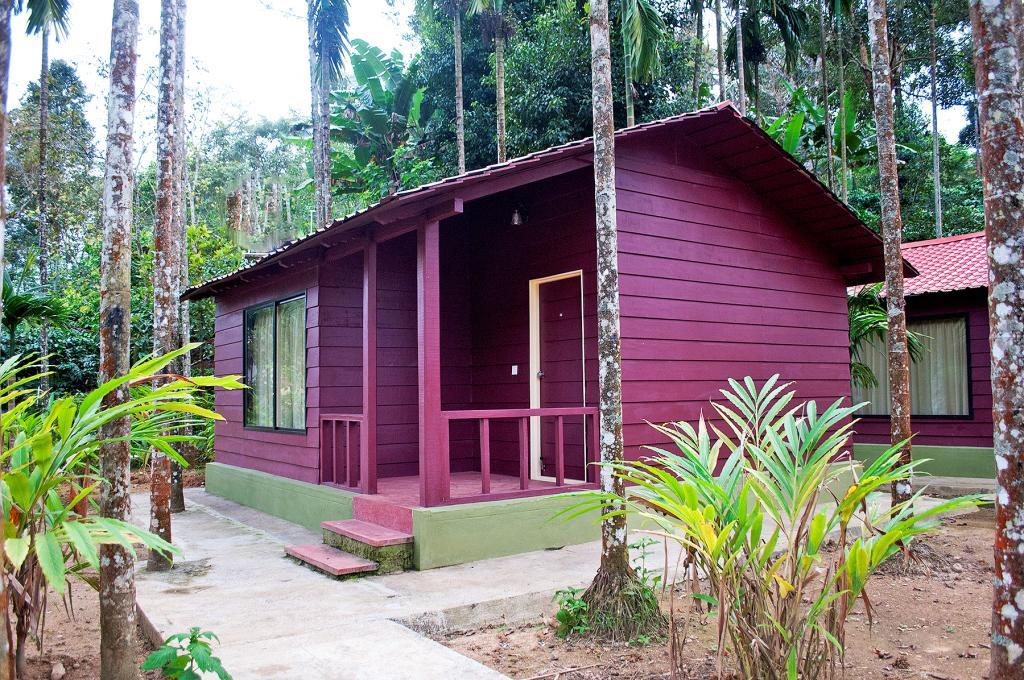 La Flora Prakruth Resort Coorg Madikeri Kültér fotó